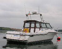 Bayliner Trophy
