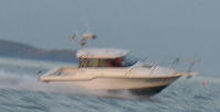 Bayliner Trophy